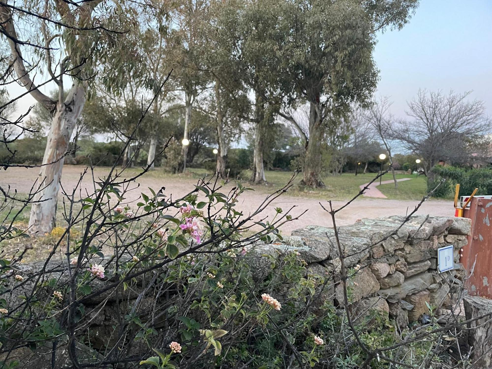 Villa Gegi Budoni Kültér fotó